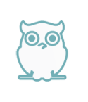 Wisdom Icon owl
